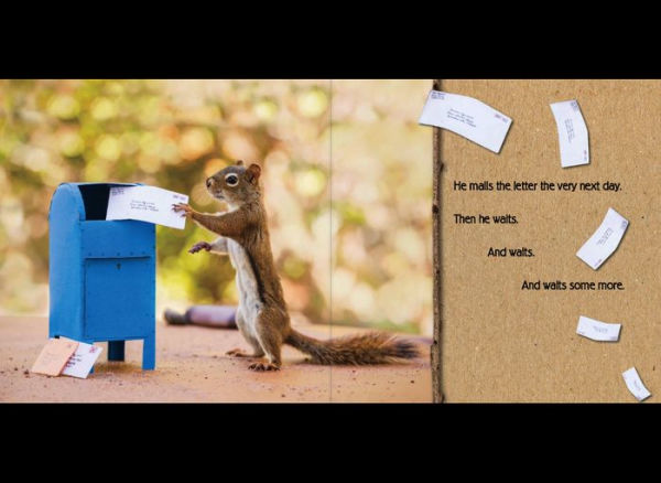 The Secret Life of Squirrels