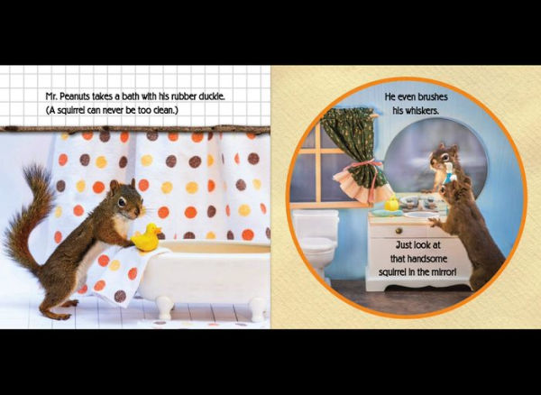 The Secret Life of Squirrels