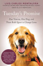 Tuesday's Promise: One Veteran, One Dog, and Their Bold Quest to Change Lives