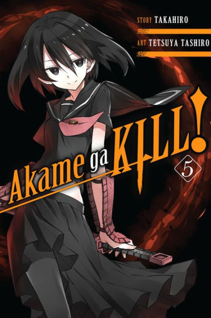 Akame Ga Kill Anime Night Raid Characters Premium Poster