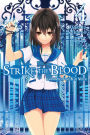 Strike the Blood, Vol. 4 (light novel): Labyrinth of the Blue Witch