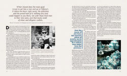 Alternative view 2 of Undisclosed Files of the Police: Cases from the Archives of the NYPD from 1831 to the Present