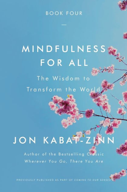Download-The Healing Power Mindfulness Jon Kabat Zinn zip