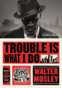 Trouble Is What I Do (Leonid McGill Series #6)