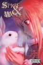 Spice and Wolf Manga, Volume 14