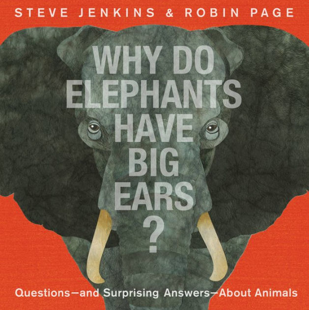 Why Do Elephants Have Big Ears? Questions and Surprising Answers