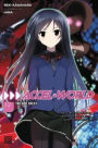 Accel World, Vol. 12 (light novel): The Red Crest