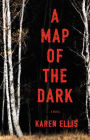 A Map of the Dark