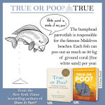 Alternative view 8 of True or Poo?: The Definitive Field Guide to Filthy Animal Facts and Falsehoods