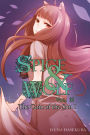 Spice and Wolf, Vol. 15: The Coin of the Sun I (light novel)