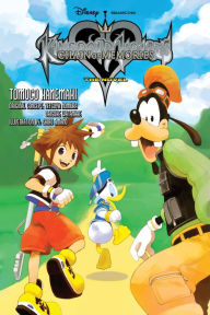 Title: Kingdom Hearts: Chain of Memories The Novel (light novel), Author: Tomoco Kanemaki