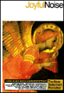 Joyful Noise: The New Testament Revisited