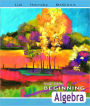 Beginning Algebra Value Pack (includes Math Study Skills & MyMathLab/MyStatLab Student Access Kit ) / Edition 10