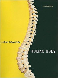 Title: A Brief Atlas of the Human Body / Edition 2, Author: Matt Hutchinson