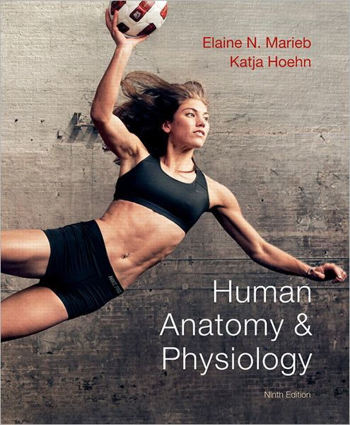 Fundamentals of anatomy and physiology 9th edition study guide
