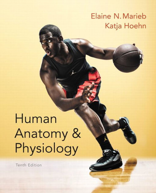 Human Anatomy & Physiology / Edition 10 By Elaine N. Marieb ...