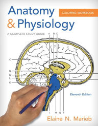 Anatomy & Physiology Coloring Workbook: A Complete Study Guide / Edition 11