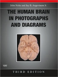 The Human Brain in Photographs and Diagrams with CD-ROM / Edition 3