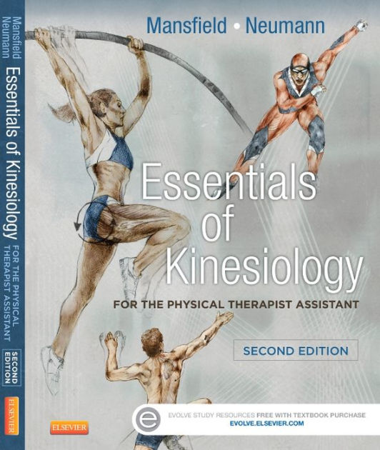 Essentials Of Kinesiology For The Physical Therapist Assistant Edition 2 By Paul Jackson 1261