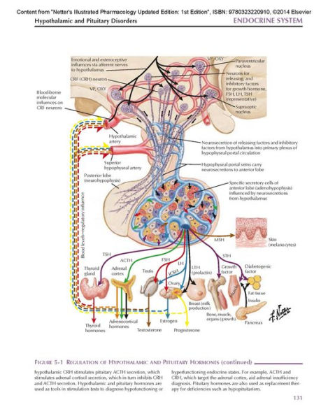 Netter's Illustrated Pharmacology Updated Edition: with Student Consult Access / Edition 2