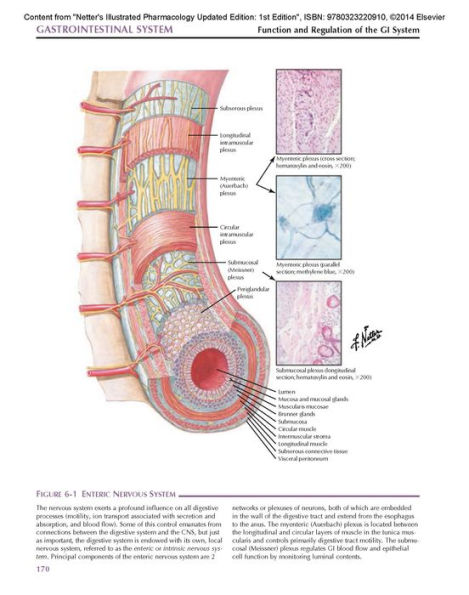 Netter's Illustrated Pharmacology Updated Edition: with Student Consult Access / Edition 2