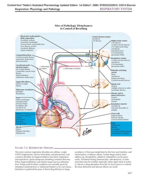 Netter's Illustrated Pharmacology Updated Edition: with Student Consult Access / Edition 2