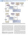 Alternative view 3 of Remington and Klein's Infectious Diseases of the Fetus and Newborn Infant / Edition 8