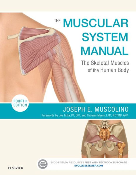 The Muscular System Manual: The Skeletal Muscles of the Human Body / Edition 4