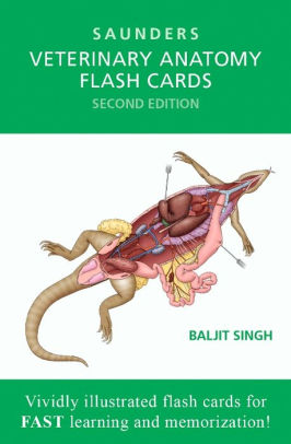 Veterinary Anatomy Flash Cards By Baljit Singh Bvsc Ah Mvsc Phd