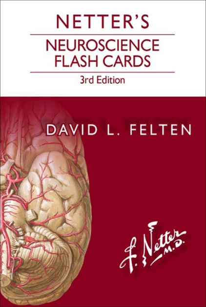 Oxford First Flashcards (Paperback) 