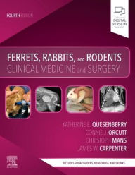 Title: Ferrets, Rabbits, and Rodents: Clinical Medicine and Surgery / Edition 4, Author: Katherine Quesenberry DVM,MPH
