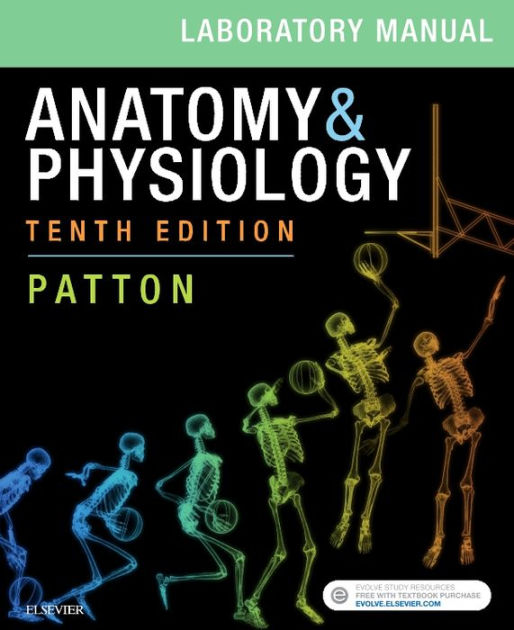 Anatomy And Physiology Laboratory Manual And E Labs Edition 10 By Kevin