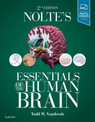 Title: Nolte's Essentials of the Human Brain / Edition 2, Author: Todd W. Vanderah PhD