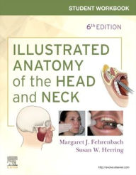 Title: Student Workbook for Illustrated Anatomy of the Head and Neck, Author: Margaret J. Fehrenbach RDH
