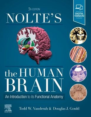 Nolte's The Human Brain: An Introduction to its Functional Anatomy / Edition 8
