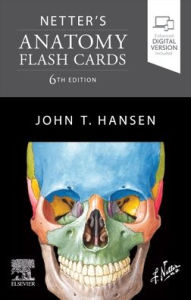 Title: Netter's Anatomy Flash Cards, Author: John T. Hansen PhD