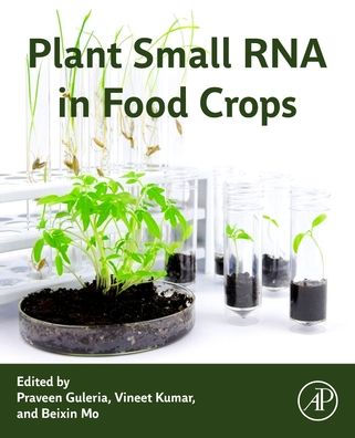 Plant Small RNA in Food Crops