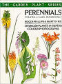 Late Perennials