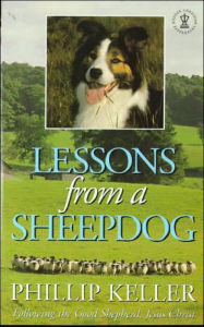 Lessons from a Sheepdog