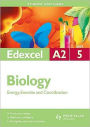 Energy, Exercise & Coordination