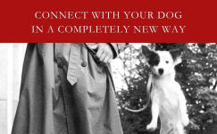 Alternative view 2 of The Other End of the Leash: Why We Do What We Do Around Dogs