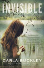 Invisible: A Novel