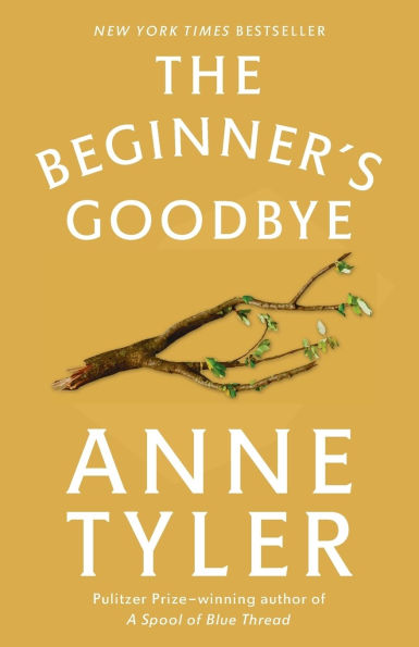 The Beginner's Goodbye