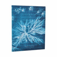 Title: Sea Flowers Ultra Lined Softcover Journal, 176pg, 100gsm, Treasures of the New York Public Library by Paperblanks (Anna Atkins' Cyanotypes), Author: Paperblanks
