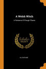 A Welsh Witch: A Romance Of Rough Places