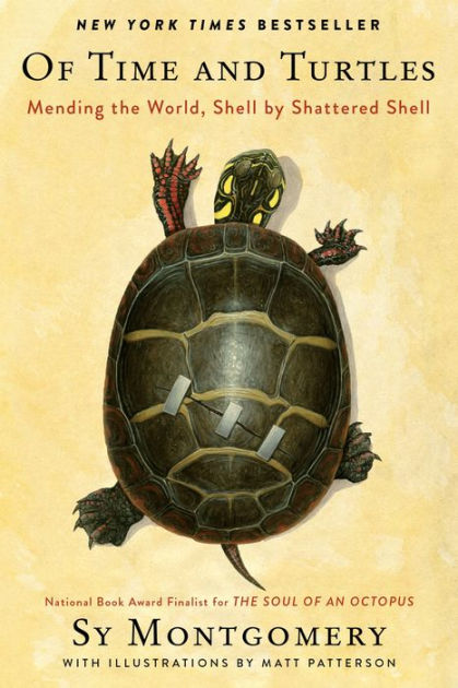 Of Time and Turtles: Mending the World, Shell by Shattered Shell by Sy  Montgomery, Matt Patterson, Hardcover