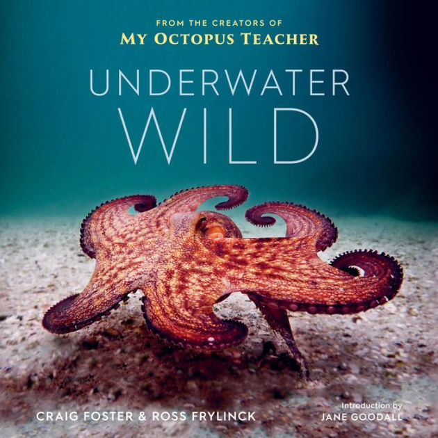 Underwater Wild: My Octopus Teacher's Extraordinary World [Book]