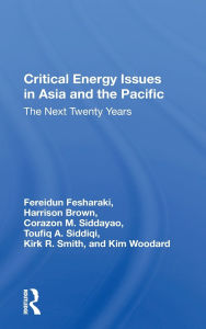 Critical Energy Issues In Asia And The Pacific: The Next Twenty Years