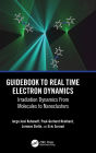 Guidebook to Real Time Electron Dynamics: Irradiation Dynamics From Molecules to Nanoclusters