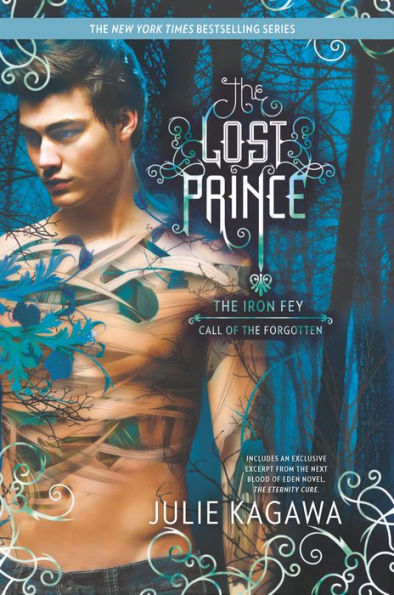 The Lost Prince (Iron Fey Series #5)